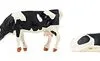 151904 Faller Kühe, Schwarzbunt