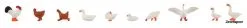 151909 Faller Hühner, Enten Und Gänse
