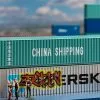 182101 Faller 40′ Container CHINA SHIPPING -Bruder Verkoopwinkel FA182101
